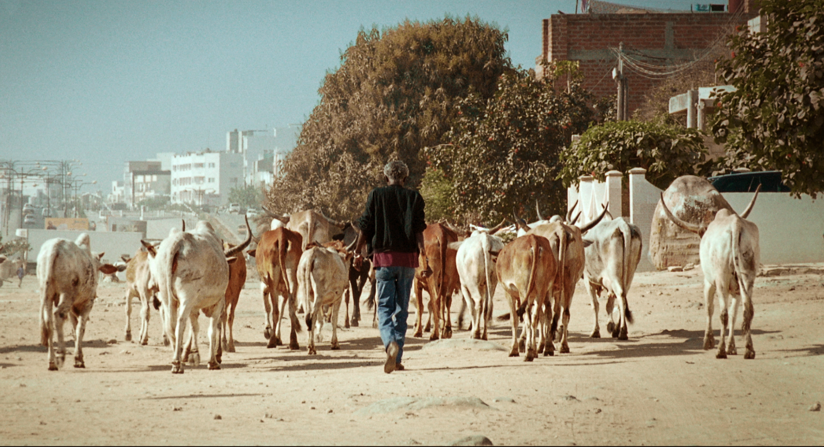 Image tirée du film Mille Soleils de Mati Diop